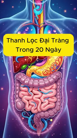 Nếu bạn có các triệu chứng này, hãy thanh lọc đại tràng của bạn để có sức khỏe ổn định hơn #daitrang #daitrangkhoe #suckhoe #suckhoelavang 