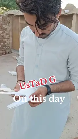 Ustad#kabootarbaazi #terding #foryoupage #viraltiktok #foryou #viral #standwithkashmir 
