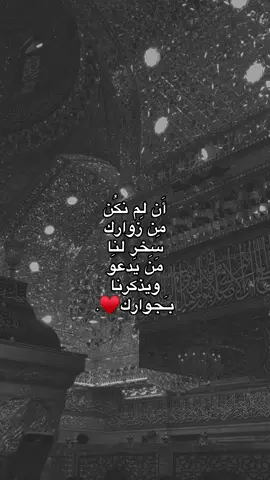#زيارة_الأربعين #الاربعينيه #كربلاء_المقدسة 