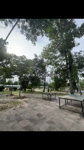 #เธรดของพิชญา☺️ #fyp #เธรดความรู้สึก #ฟืดๆๆ #ฝากติดตามด้วยนะ @TikTok 