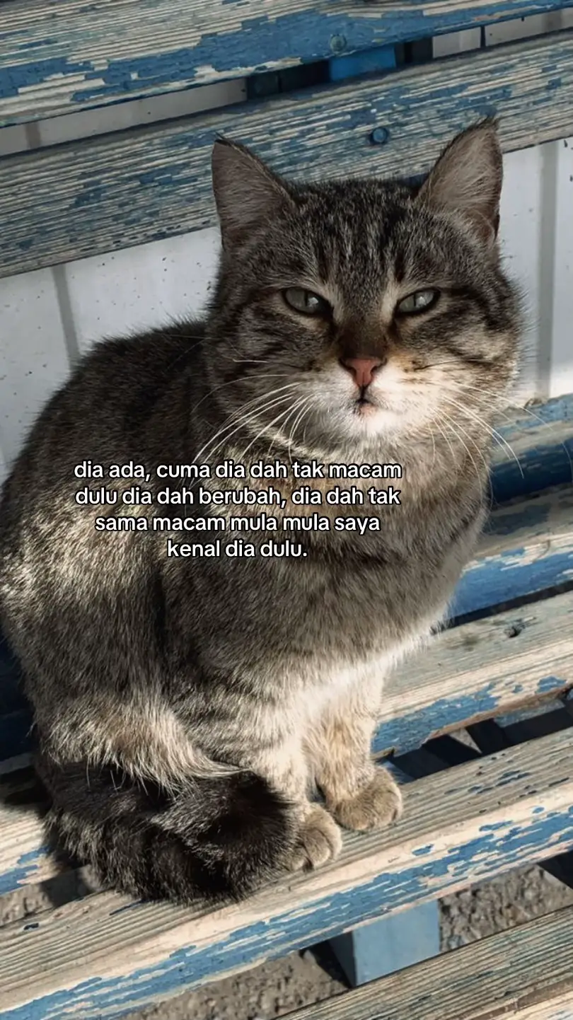 #fayppppppppppppppppppppppp #quotes #4u #xybca #sadvibes🥀 #🥲 