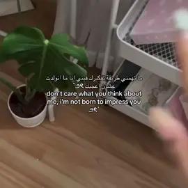 #koreanskincare #mixsoon #followformore #تحفيزات 