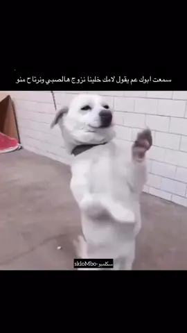 الله يخلي الريس الله يطول عمره 😂