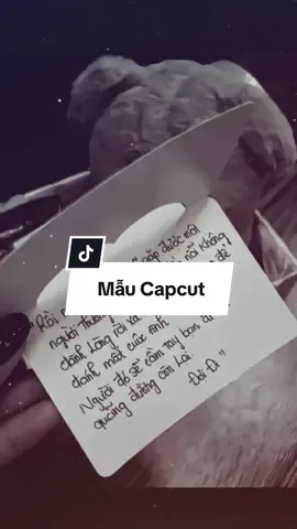 #CapCut Rồi một ngày bạn sẽ gặp được một người thương bạn…#xuhuong #fpy #capcutmaster #nhachaymoingay #maubeatsocial #kaijuno8 #LearnOnTikTok 