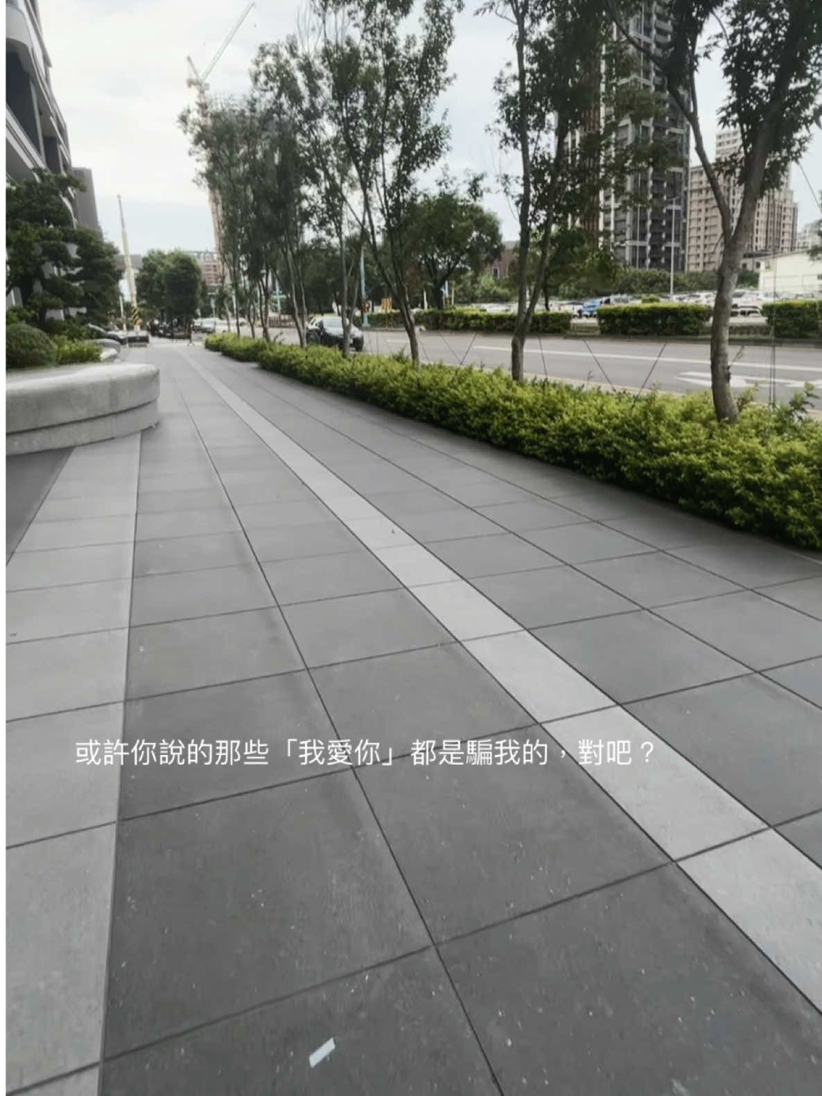 或許你說的那些「我愛你」都是騙我的，對吧？#fyp #推薦 #emo #文案 #愛情 #愛你 #失戀 #想你  文案不是我想的呀~ 某某人幫我的 ( ･᷄ὢ･᷅ )