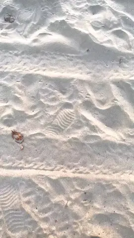 Sunset pantai Batakan baru gak pernah gagal #sunset #pantaivibes🏖🌊 #pantaibatakanbarukalsel🏝 