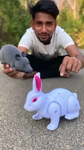 RC Mouse 🐁 and Rabbit Unboxing and testing  #ToyTales #PlaytimeFavourites #ToyReview #ToyLove #KidsToys #ToyTrends2025 #BritishToys #ToyUnboxing #ToyCollectors #ChildsPlay 