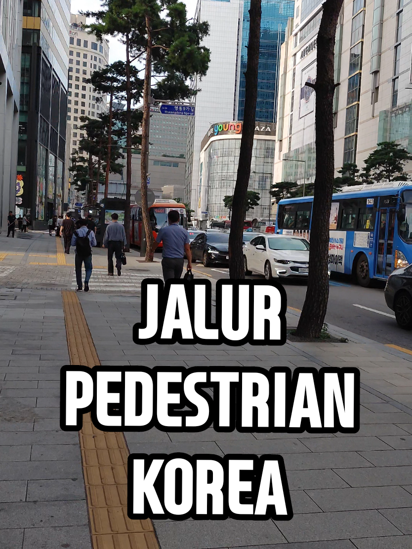 Jalur Pedestrian Di Korea Selatan Memang Senyaman Ini. #pmikorea🇮🇩♡🇰🇷  #gtogkoreaselatan🇲🇨🇰🇷  #myeongdong 