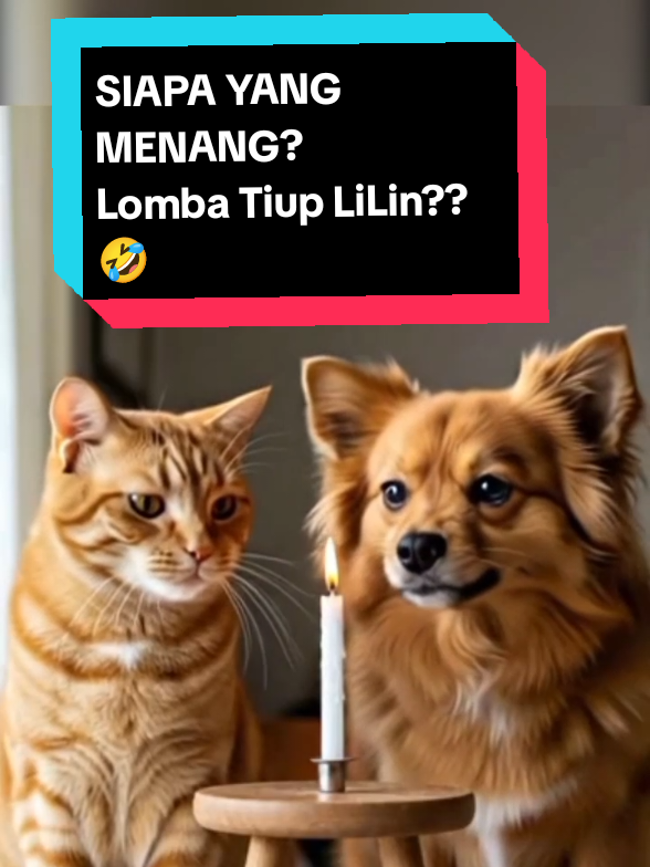LUCU😂‼️ LOMBA TIUP LILIN KUCING VS ANJING🤣 Pemanasan sebelum 17 Agustus #kucinglucu #anjinglucu #anjingdankucing #catsoftiktok #ai #lomba17agustuslucu 7agustus 