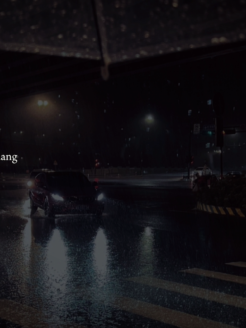 Tao đã trả lời được câu hỏi lòng người có gì...?#nhachaymoingay #nhactamtrang #tamtrang 