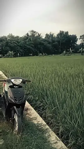 #fypage #miosporty #otomotif #jangkauanluasfyp 