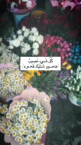 كُلَّ شَيءٍ نَصِيبُ🤍..!