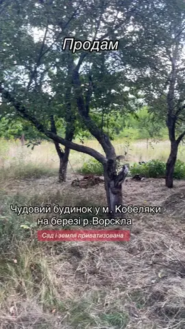 #kobeliakytiktok#rekomendasifilm#ворскла#продам#будинок#pyf#продажабудинку 