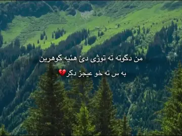 #دهوك_زاخو_سليماني_ئاكري_ئامیدی_هولیر #paev #🥹♥️ 