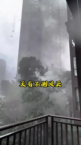 四柱预测#国学文化 #传统文化 #风水 