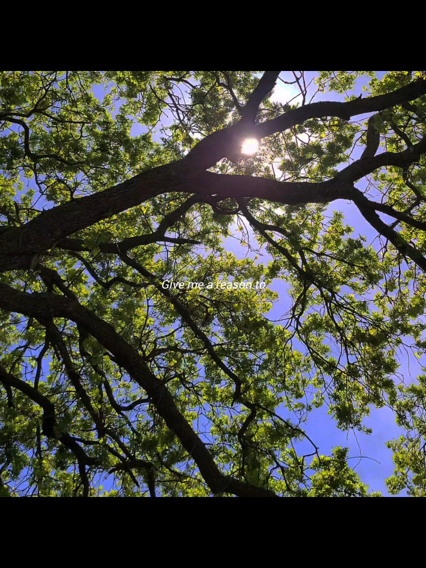 So hyped for Spiderman Brand new Day || #songs #postmalone #sunflower #lyrics_songs 