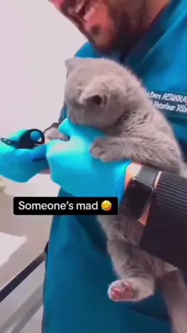 #funny #funnyanimals #funnyvideos #pet #cute #fyp 