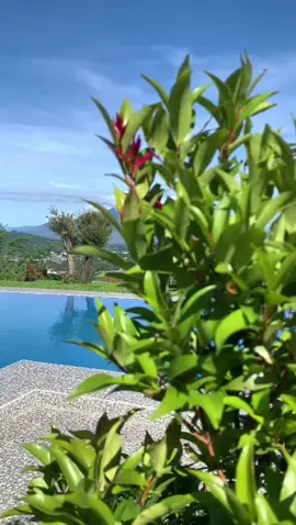 Nemu villa yang view nya sekeren😍  #rekomendasi #villa #villapuncak #villapuncakmurah #villapuncakbogor #liburanseru 