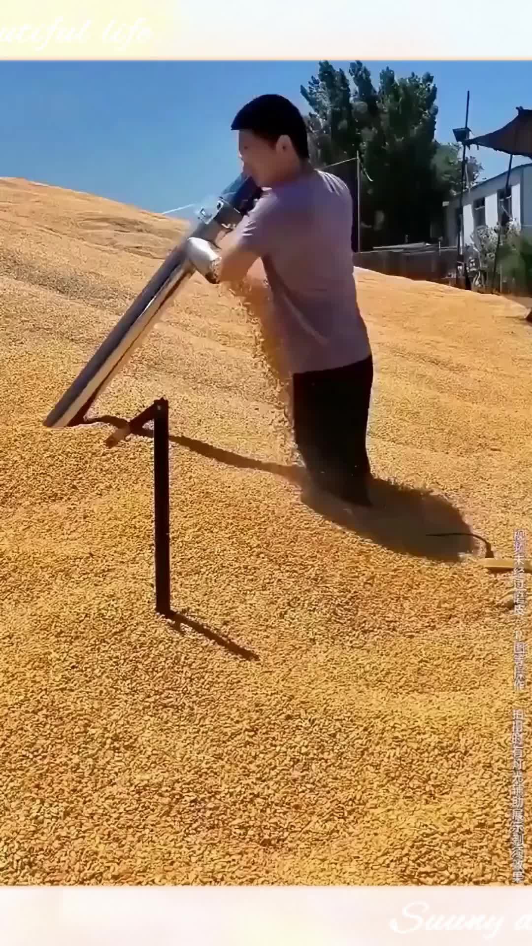 สีผมที่ไม่ทำลายสุขภาพหนังศีรษะ 