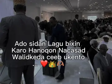 Ropest ❤️#Fppppppppppppppppppp #ciyalxamar #lander 