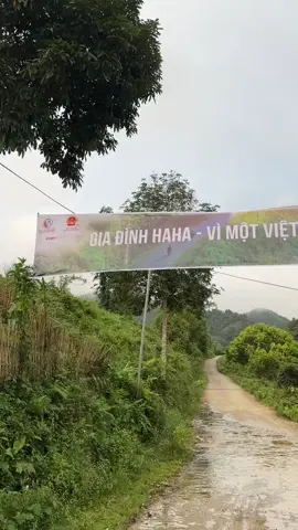 Lễ ra quân trồng cây  gia đình haha   Vì một việt nam hạnh phúc  #CapCut  #fyp #xuhuongtiktok #giadinhhaha #tiktoktrending #foryou #travel #traveling 