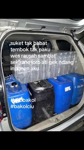 #ciubekonangkeras #arakbali #kemerdekaan #merahputih 