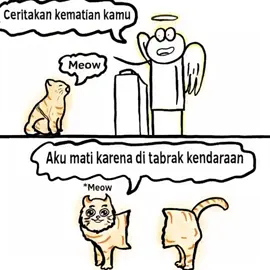 #catlover #pencintakucingkampung #pencintakucingkampung #bismillahfypシsehat 