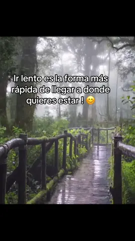 Ir lento es la forma más rápida para llegar a donde quieres estar ! 😊 #reflexion #irlentoeslaformasrapidaparallegaradondequieresestar #LIVEIncentiveProgram #LIVEStory #PaidPartnership 