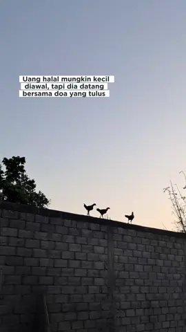 #CapCut #konten #quotes #viral  #fyp 