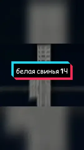 в подьезд зашла большая белая свинья #страшилки #история #свинья 