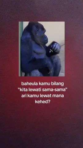 bagian 357 | geus pusing kdie kaditu teu pendak keneh #storysunda #fouryou #fyppppppppppppppppppppppp #monyetgalau 