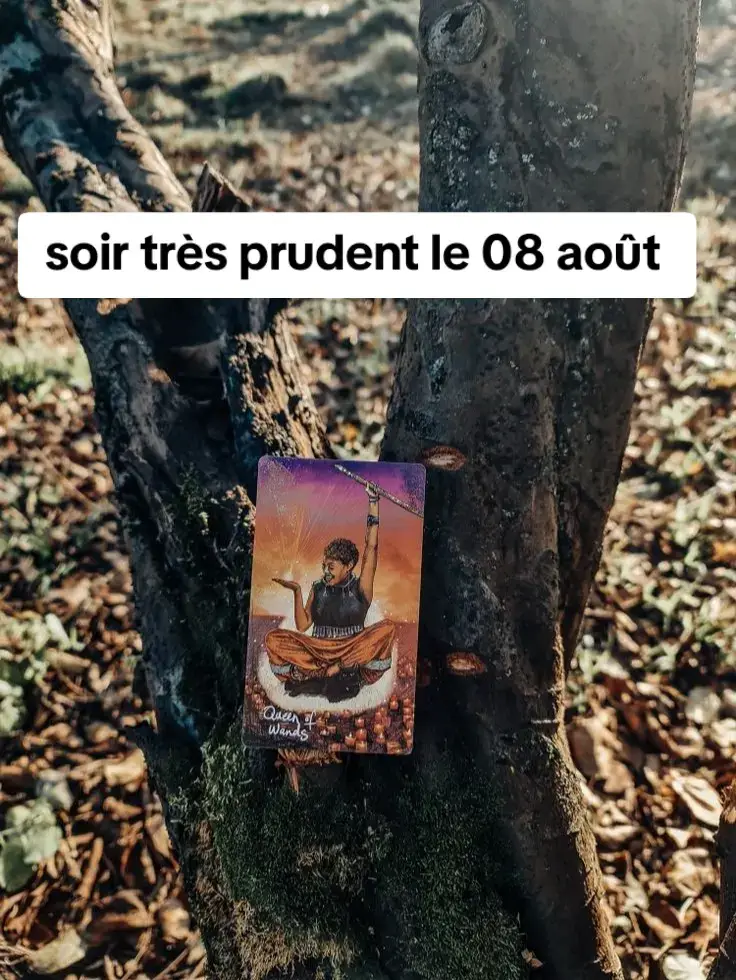 #tiragedecarte #tiragesentimental #guidancesentimentalegénérale #tirage #guidance #voyance #prediction #retour #voyante #cartomacie #oracle #voyancetiktok #cartomancienne 