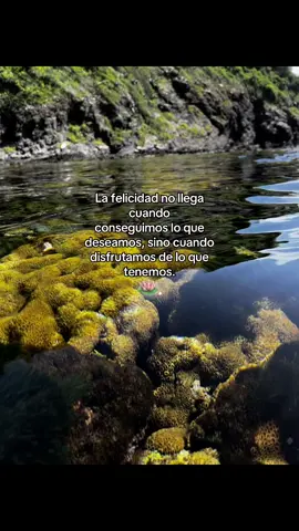 #frasesmotivadoras #videoviral #viral #amigosdeverdad #videosparaestados #videosparadedicar #LIVEIncentiveProgram #LIVEStory #PaidPartnership 