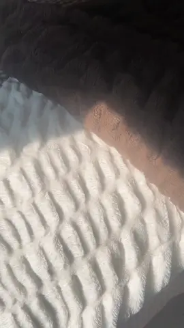 $300 for a blanket is ABSURD. don't wait because this one is going to sell out #blanket #softblanket #dreamerblanket #fallblanket #cozyblanket 