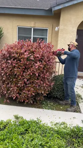 #garden #gardening #satisfying #clean #cleaning #asmr #fyp
