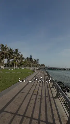 كبرنا وبقينا بنحب الوحدة #احمد_سلامة #ahmed_salama #حالات_واتس #حالات #الوحدة 