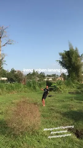 hobi yg tidak disukai petani😭#kediri24jam #layangan #gapangan #pelayang #fyp #masukberandafyp #plosoklaten 