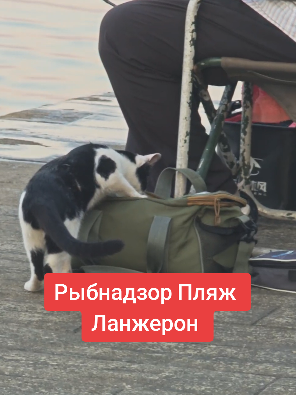 #мир #добро #odessa #ukraine #позитив 