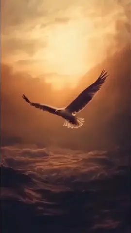 #creatorsearchinsights #فلسفة_العظماء🎩🖤 #تراجيديا #فيلسوف #تراجيديا_حياة #نيتشه #creatorsearchinsights #LIVEIncentiveProgram #LIVEIsEasy 