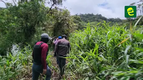 [ATENCIÓN] #MoronaSantiago, Policía Nacional desarticuló campamentos de minería ilegal en el río Abanico. Las autoridades realizan un llamado a la ciudadanía a denunciar estos casos que ponen en riesgo las fuentes de agua ❗ El Ing. Miguel Jara, Director de Agua Potable del Municipio de #Morona se pronunció también al respecto 💧 Aquí sus declaraciones: https://www.facebook.com/share/v/1CXwv7AVXG/