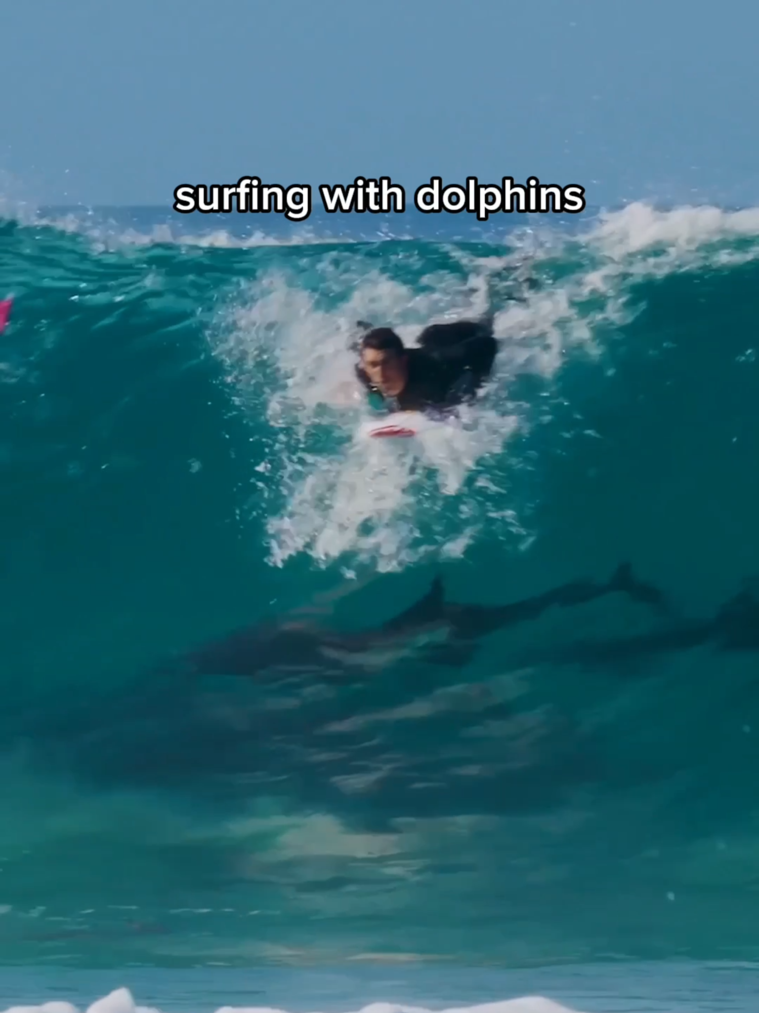 this lineup's different 🐬 #redbull #givesyouwiiings #energydrink #surfing #watersports