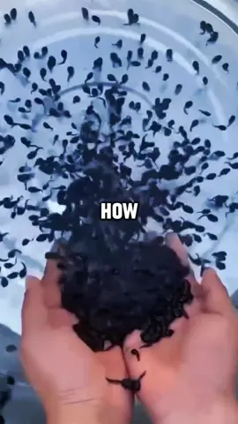 #text #texts #fyp #texting #textingstory #rizzapp #tiktok