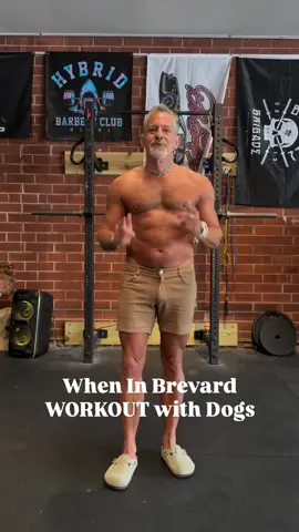 When you’re in Brevard or need a reason to visit the South, come to the King Street Gym and workout with the dogs. Richey and Hanna will be there to lend a hand. I couldn’t resist taking off my shirt and doing a few squats. Miss my home team, but finding King Street Gym felt like home away from home. @kingstgym @themovementjourney @popartcr @popartgolf #petfriendly #gym #gyms #squat #squats #gymmotivation #workout #havingfun #silverfox #christopherobetz #menover50 #sportsartist #popartcr #brevard #brevardnorthcarolina #workoutmotivation #freeweights #daddy #gymdaddyhardworkout💪🏋️💪🏋️