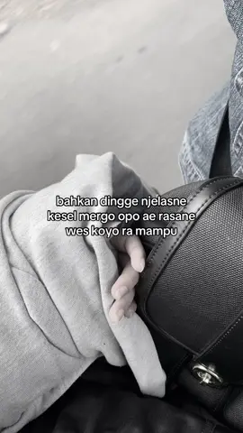 percuma njelasne,rabakal ngrubah apapun 