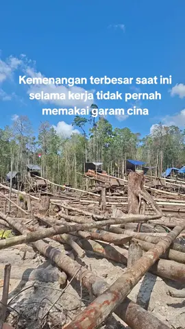 semoga aja gak pernh makai#tambangemaskalimantan#garamcina#kulisedot🔥#tanbangemas#tanbangemas#tanbang#ikulisedotd#fyppppppppppppppppppppppP 