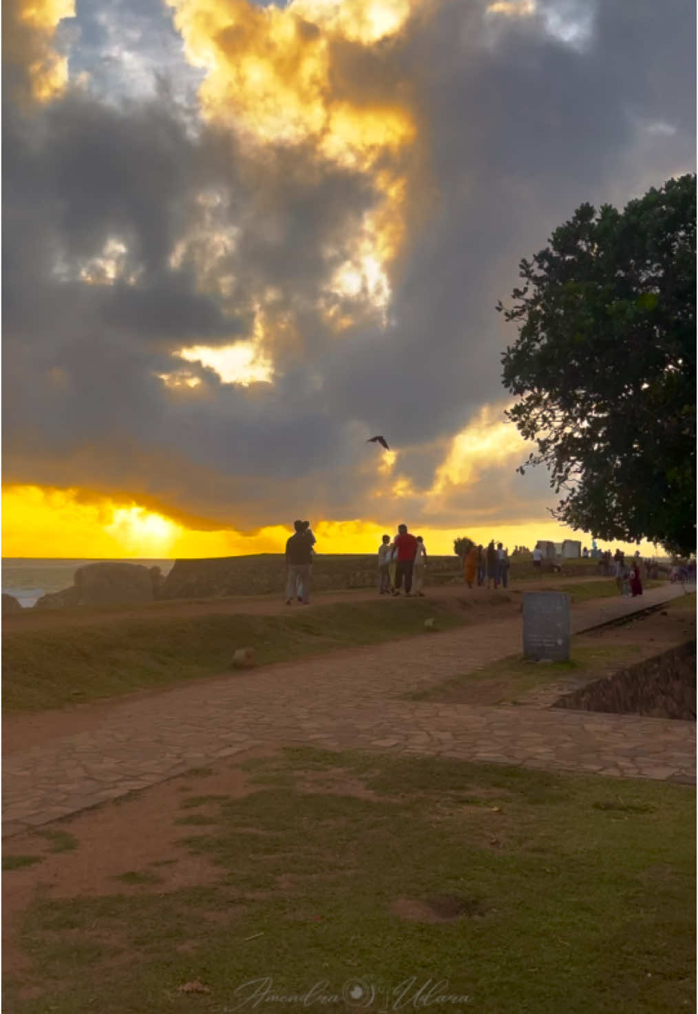 සිහිනෙන් දකිමී...💛✨ #srilanka #artworldlk #evening #gallefort #galle #sunset #sunsetlover #travel #viral #foryou #foryoupage #fyp #fypviralシ #place #beautiful #Love #trending #trendingsong #alone #amendraudara #visitsrilanka #travelsrilanka 