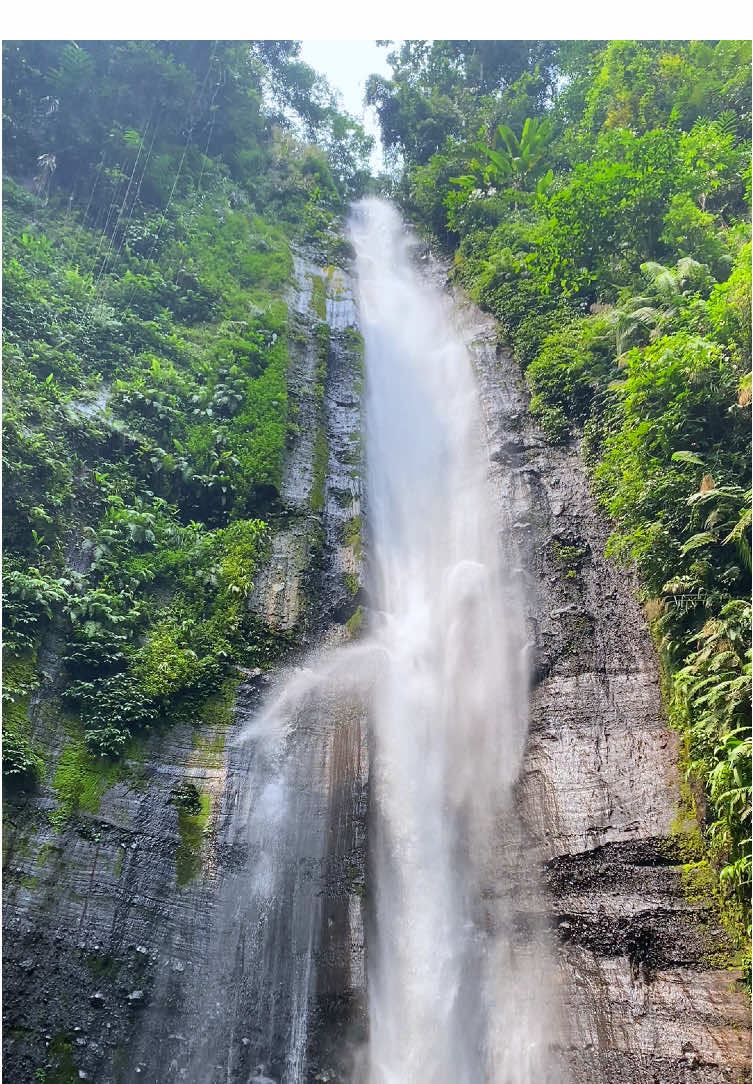 #curug #curugbogor #curugcisadane #sungai #gunung #foryou 