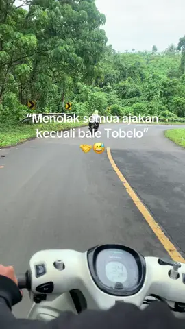 #xybca #halmaherautara 