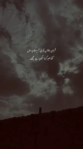 🤌🏻🤍__”| #hehe_akhtar #foryou #foryoupage #urdupoetry 