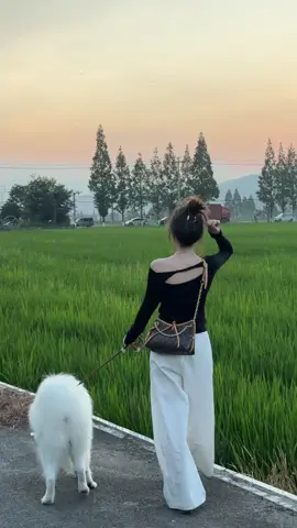 Sau này em lại yêu một người, có thể là bình thường, có thể là tài hoa xuất chúng. Còn anh đã từng xuất hiện trong những năm tháng thanh xuân rực rỡ của em mà em chẳng buồn nhắc lại. Và anh lại nhận ra một điều: 